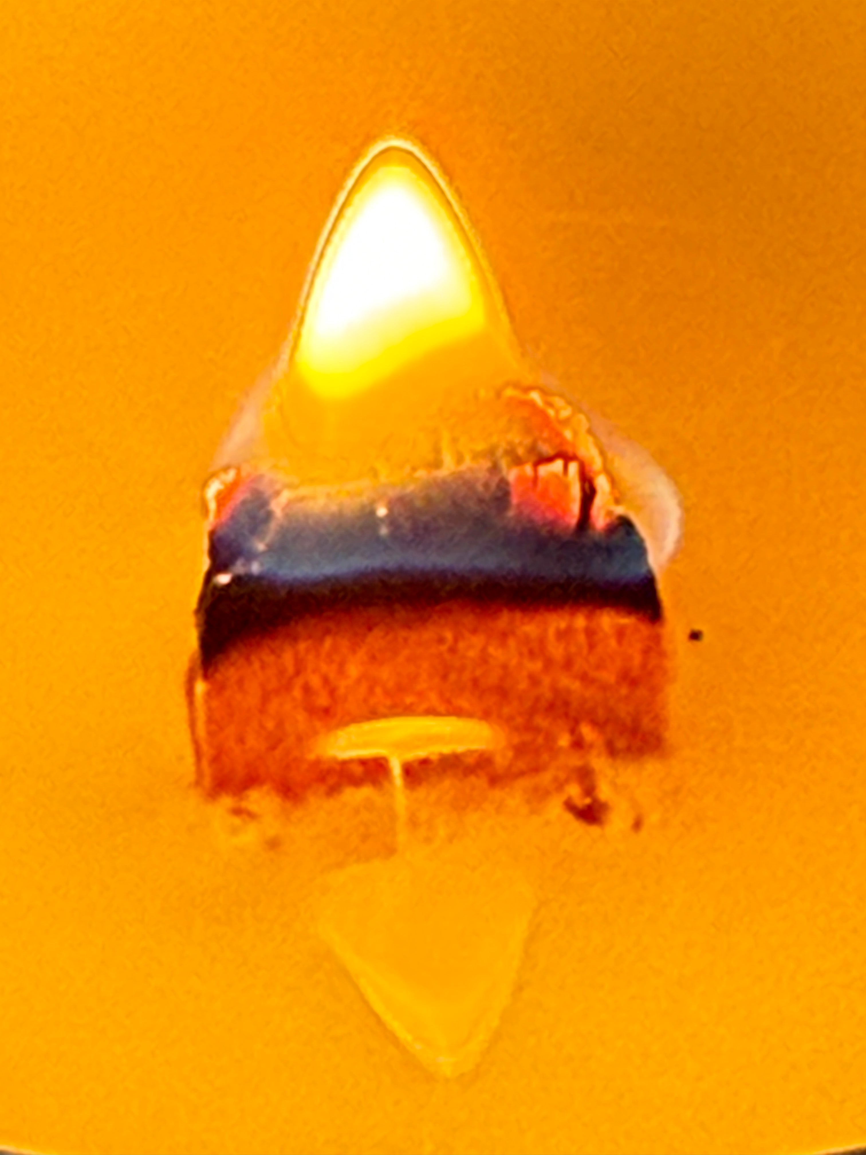 Duftkerze Bier vom Fass Mittel (190g) - MeinKerzenzauber